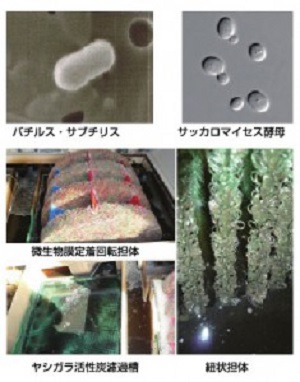 アクアレット発酵促進微生物